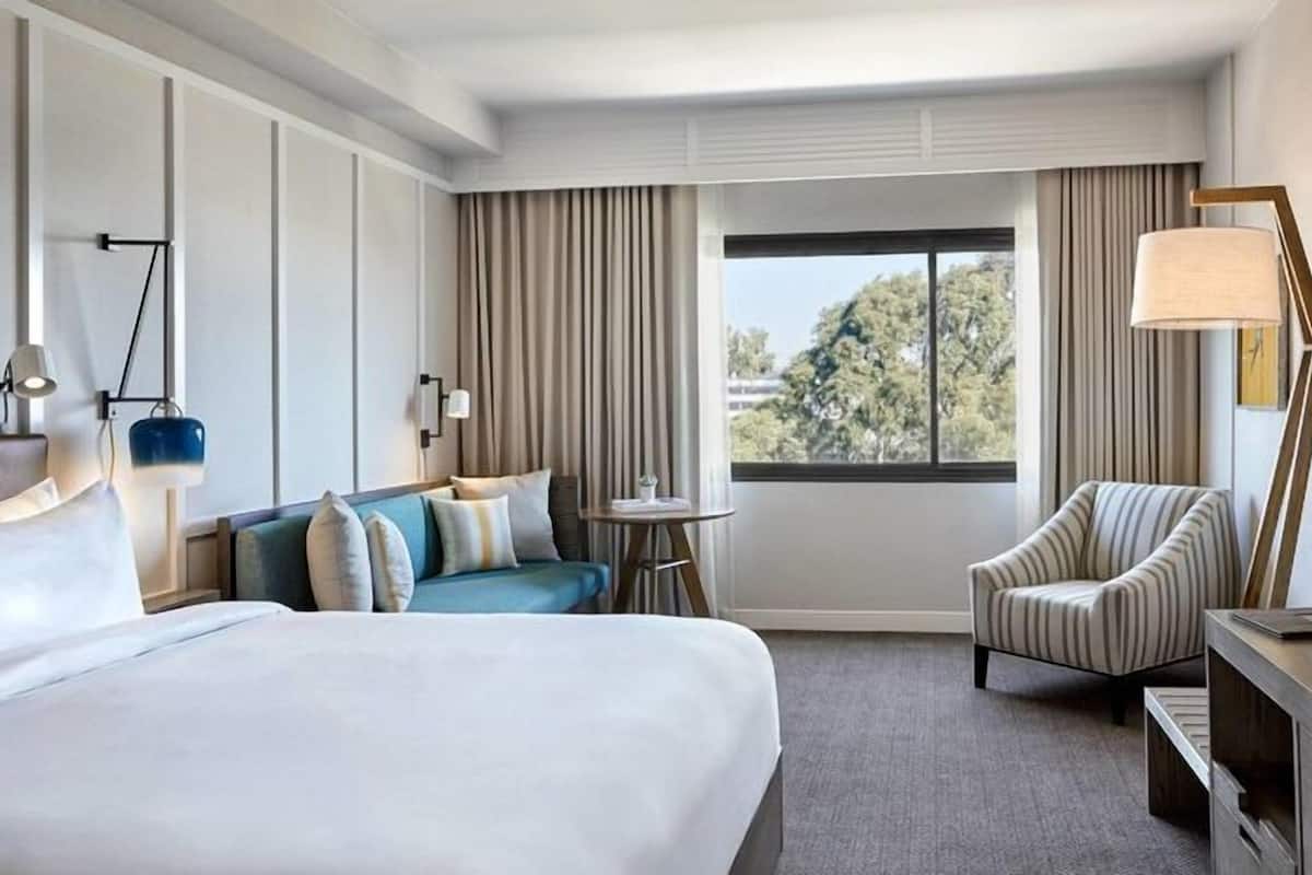 A hotel room with a large bed, a sofa, a chair, a TV, a lamp, and a window with a view of trees.
