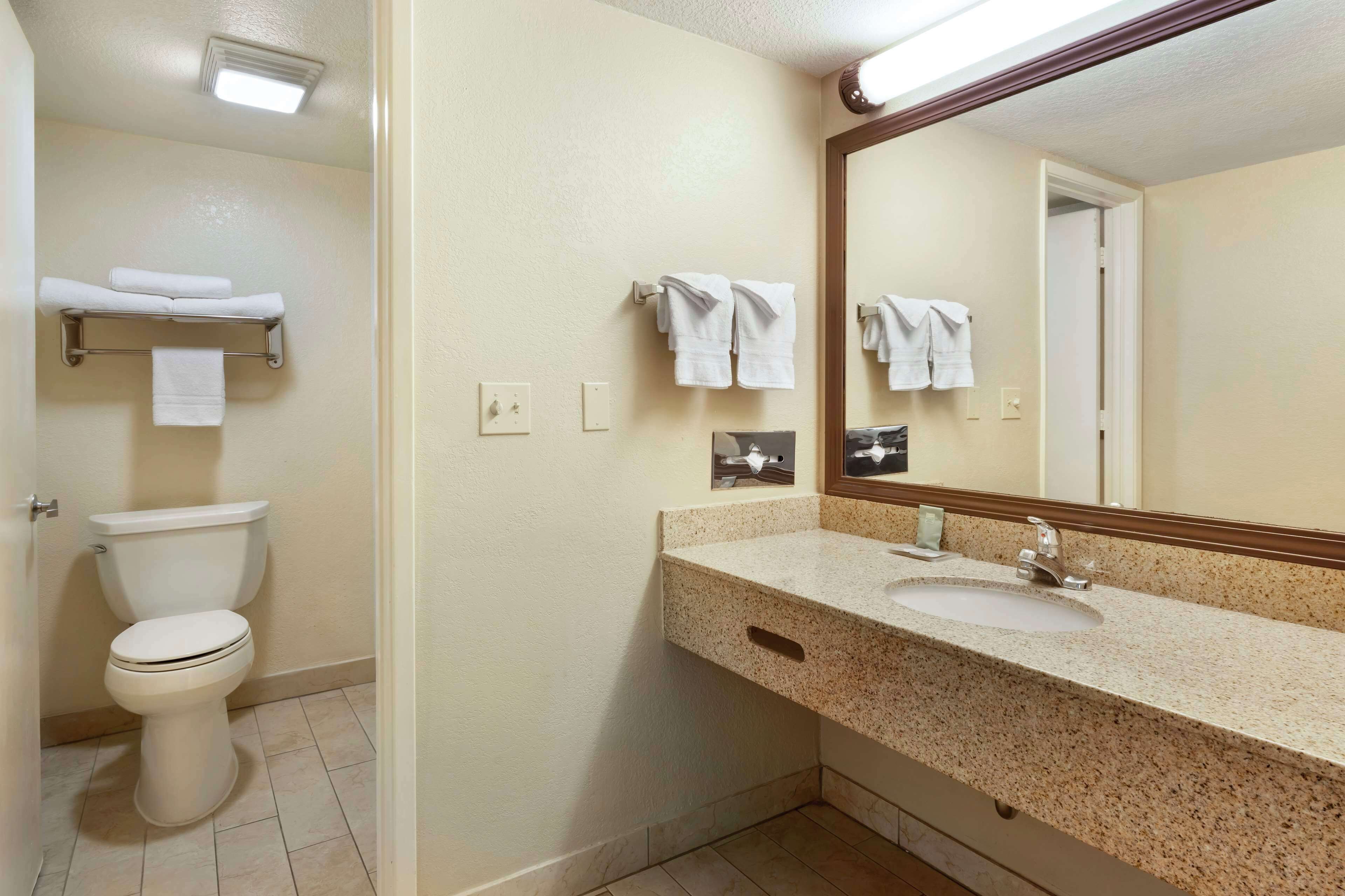 A bathroom with a toilet, a sink, and a mirror.
