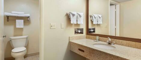 A bathroom with a toilet, a sink, and a mirror.