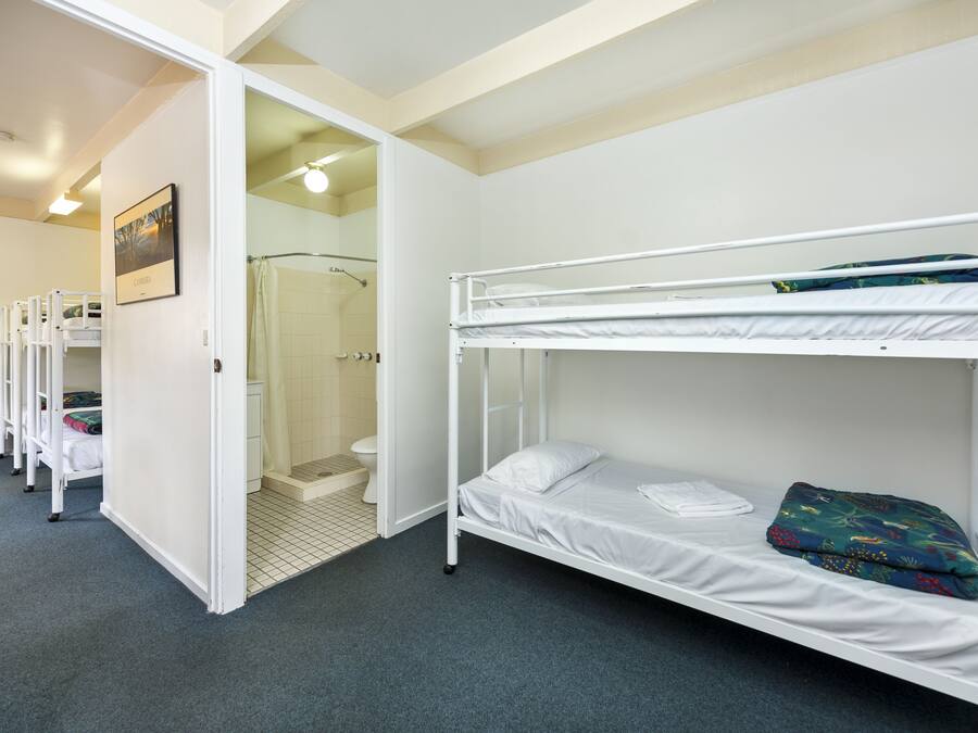 A hotel room with bunk beds, a shower area, and a framed picture on the wall.