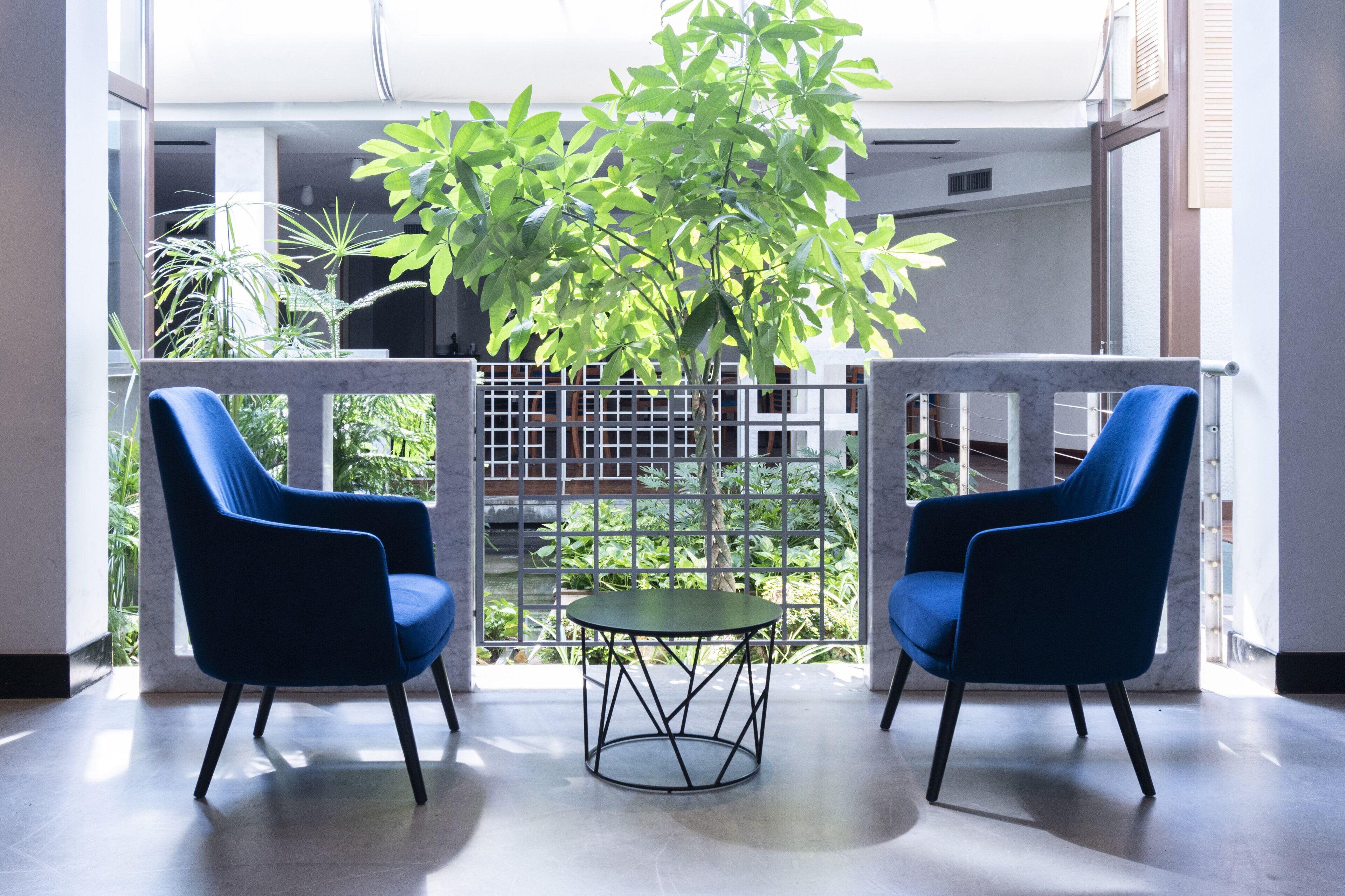 A balcony with two blue chairs and a small table, surrounded by a metal railing and a potted plant.
