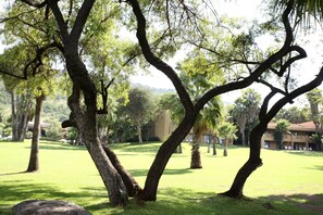 Jardin