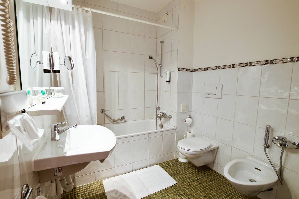 combined shower/bathtub, free toiletries, hair dryer, towels