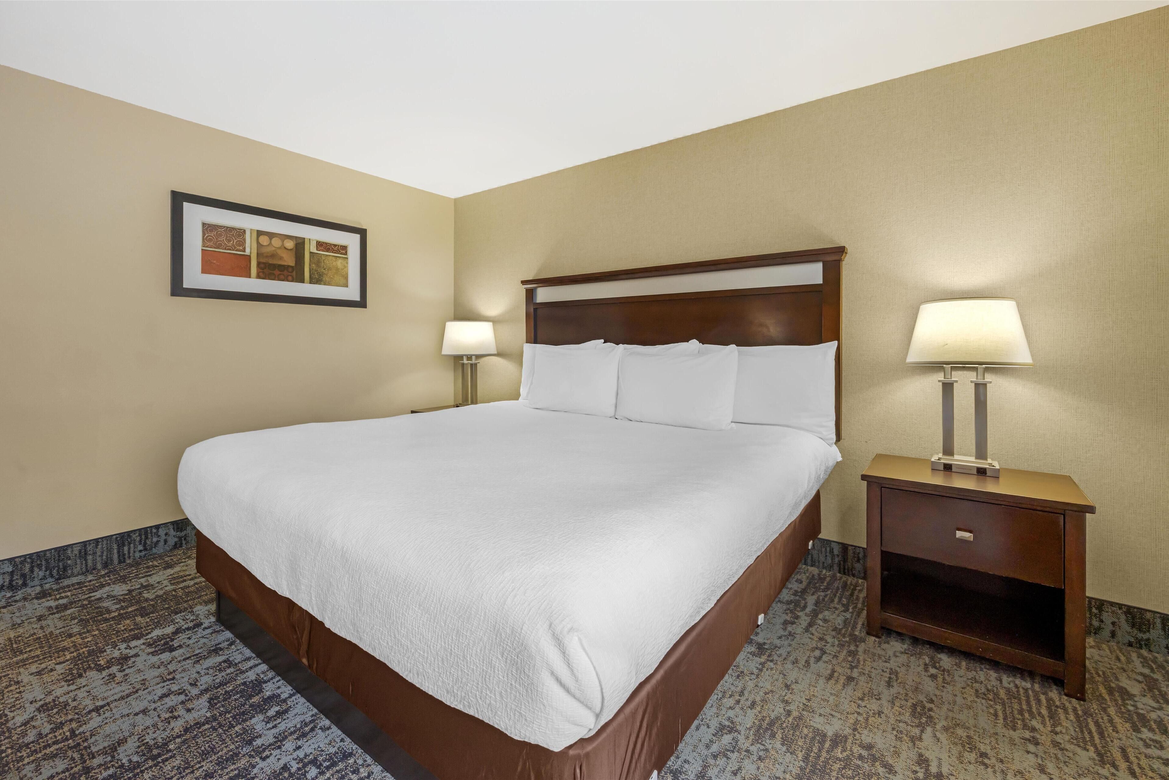 A hotel room with a large bed, two bedside tables with lamps, a framed picture on the wall, and a carpeted floor.