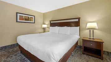 Habitación de hotel con una cama grande, dos mesitas de noche con lámparas, un cuadro enmarcado en la pared y suelo cubierto de alfombra.