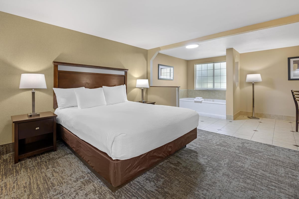 Premium bedding, desk, laptop workspace, blackout curtains