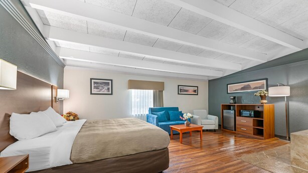 Habitación de hotel con cama, sofá, mesa de centro, mueble para la televisión y escritorio.