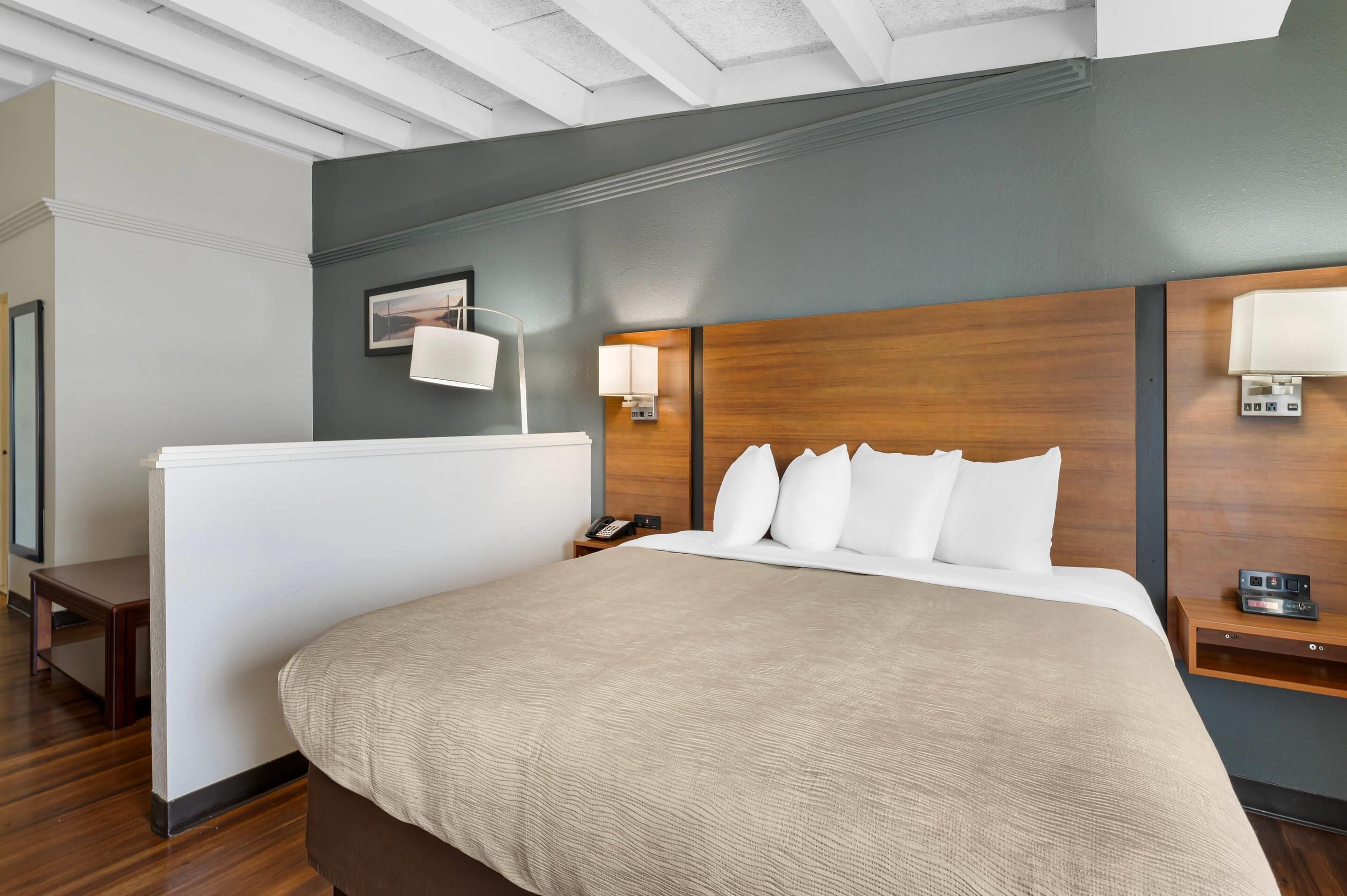 Suite, 1 cama de matrimonio grande con sofá cama | Caja fuerte, escritorio, tabla de planchar con plancha y cunas gratuitas