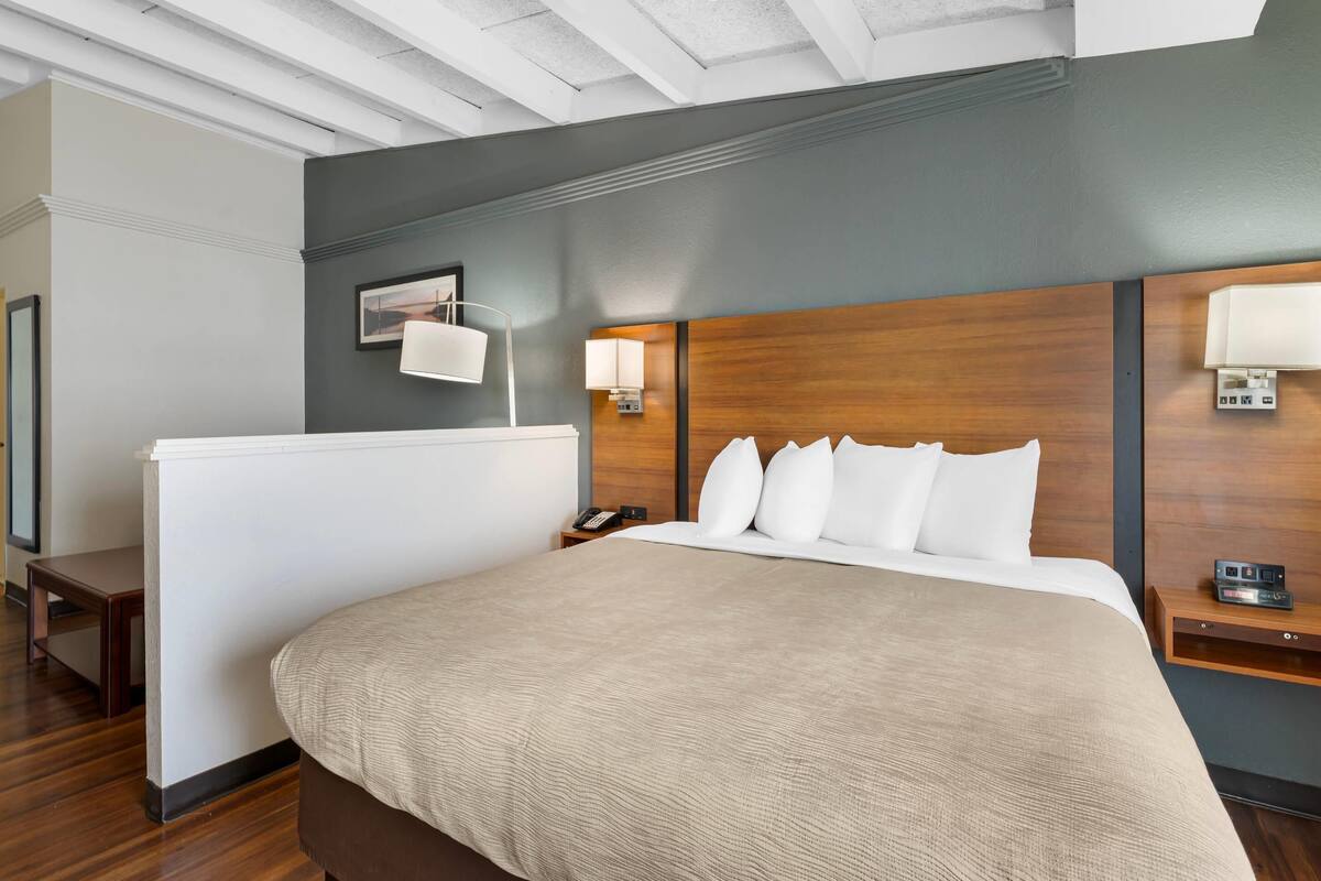 Suite, 1 cama de matrimonio grande con sofá cama | Caja fuerte, escritorio, tabla de planchar con plancha y cunas gratuitas