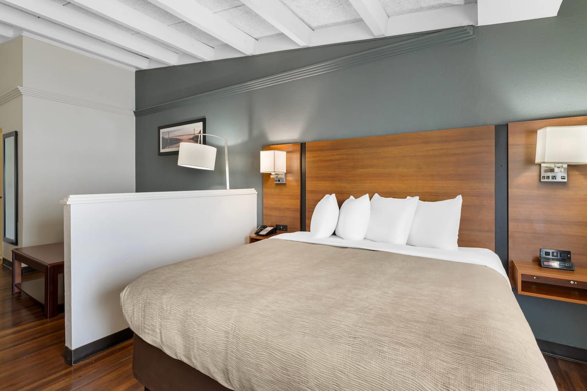 Suite, 1 cama King size y sofá cama | Caja de seguridad en la habitación y escritorio