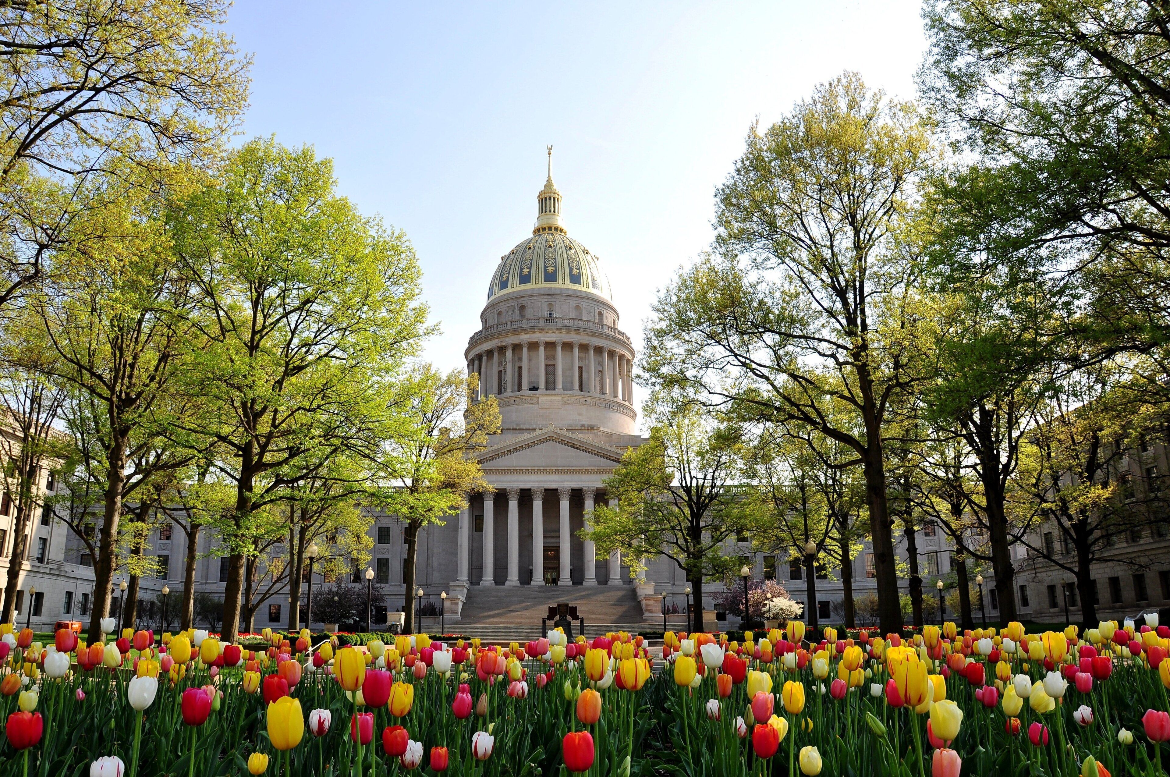 A large building with a dome, surrounded by trees and a field of tulips.