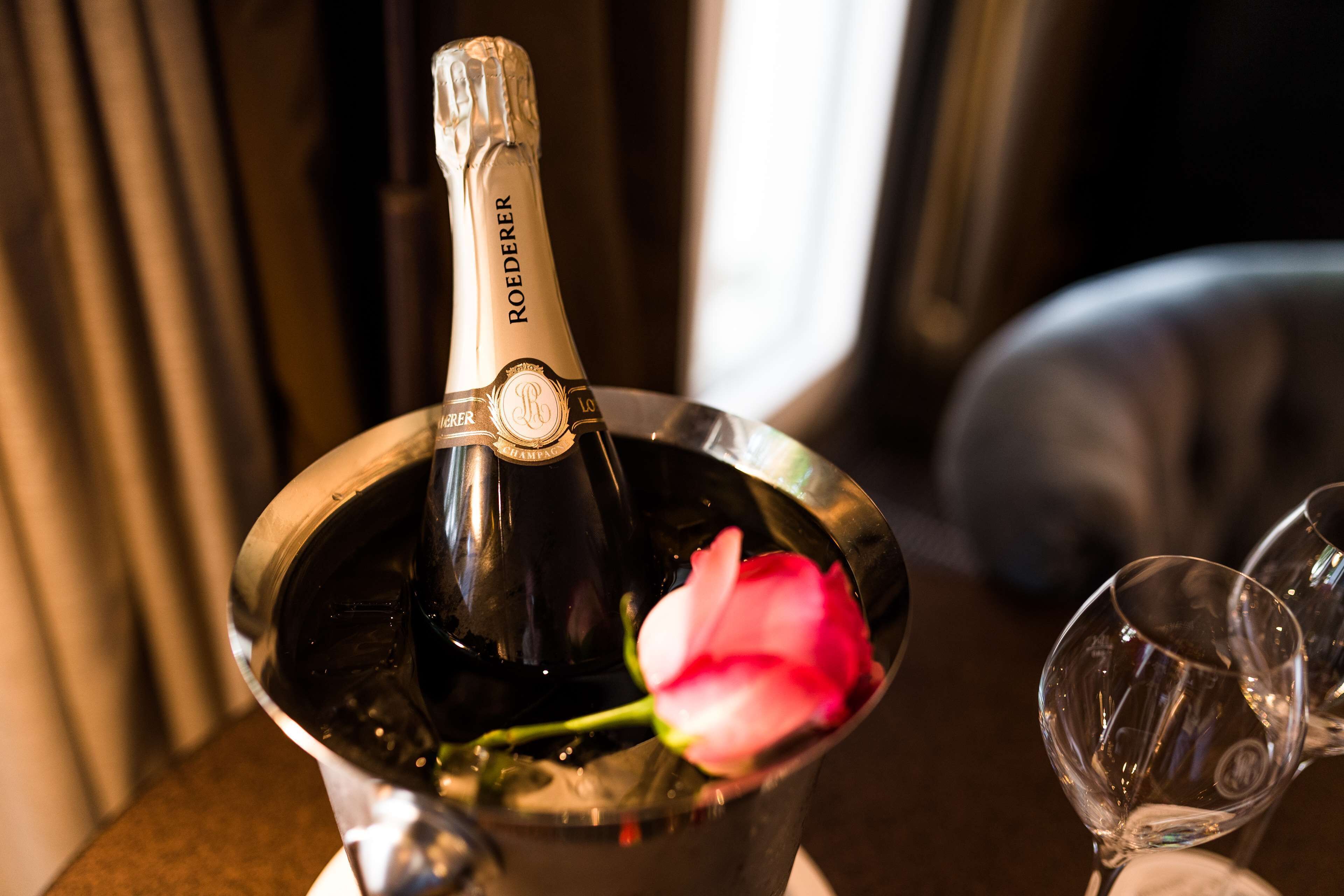 Una botella de champán en un balde de metal con una rosa en su interior.