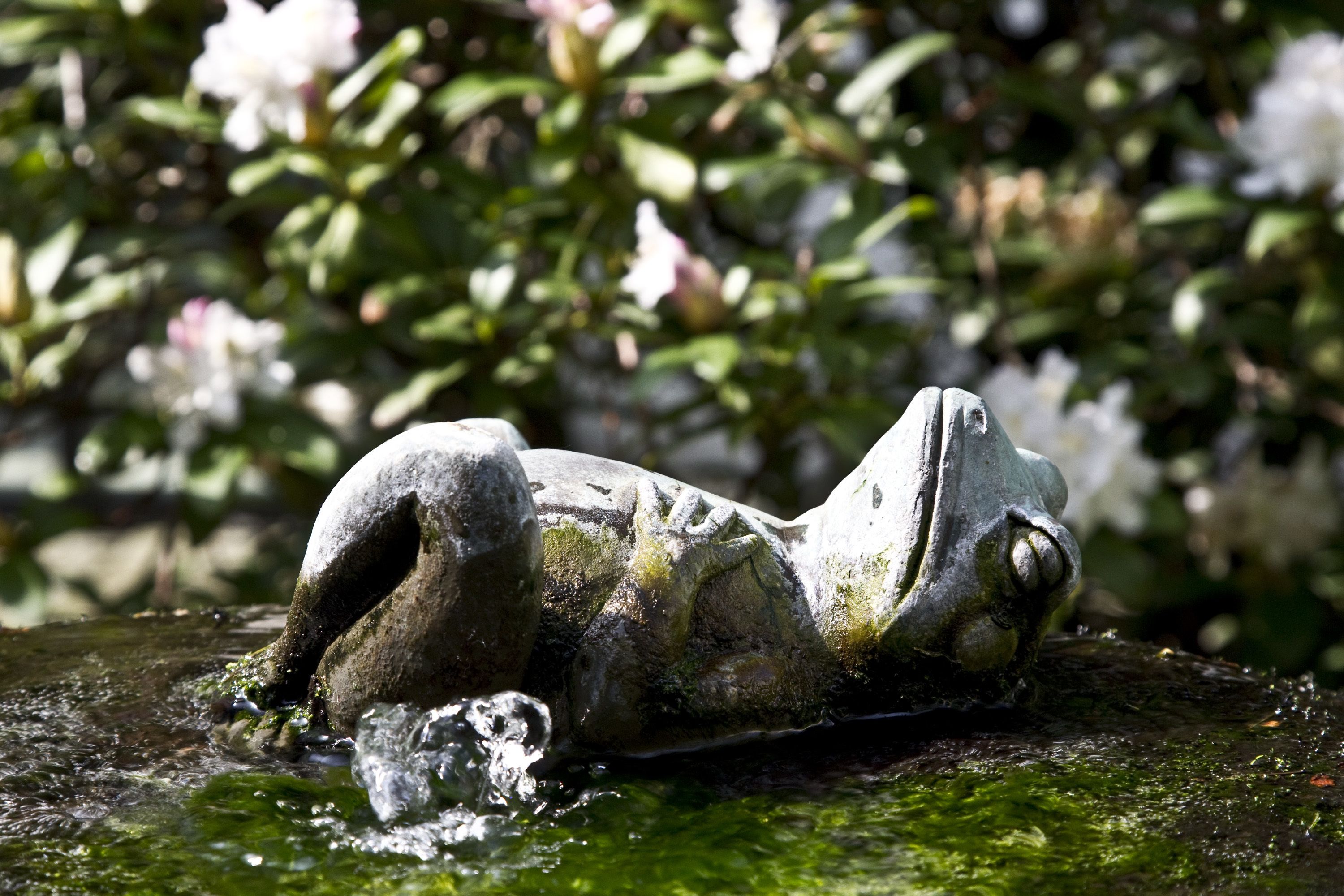 breakfast, lunch, dinner served; international cuisine