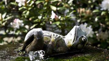 Una estatua de rana de piedra en un jardín con agua y follaje al fondo.