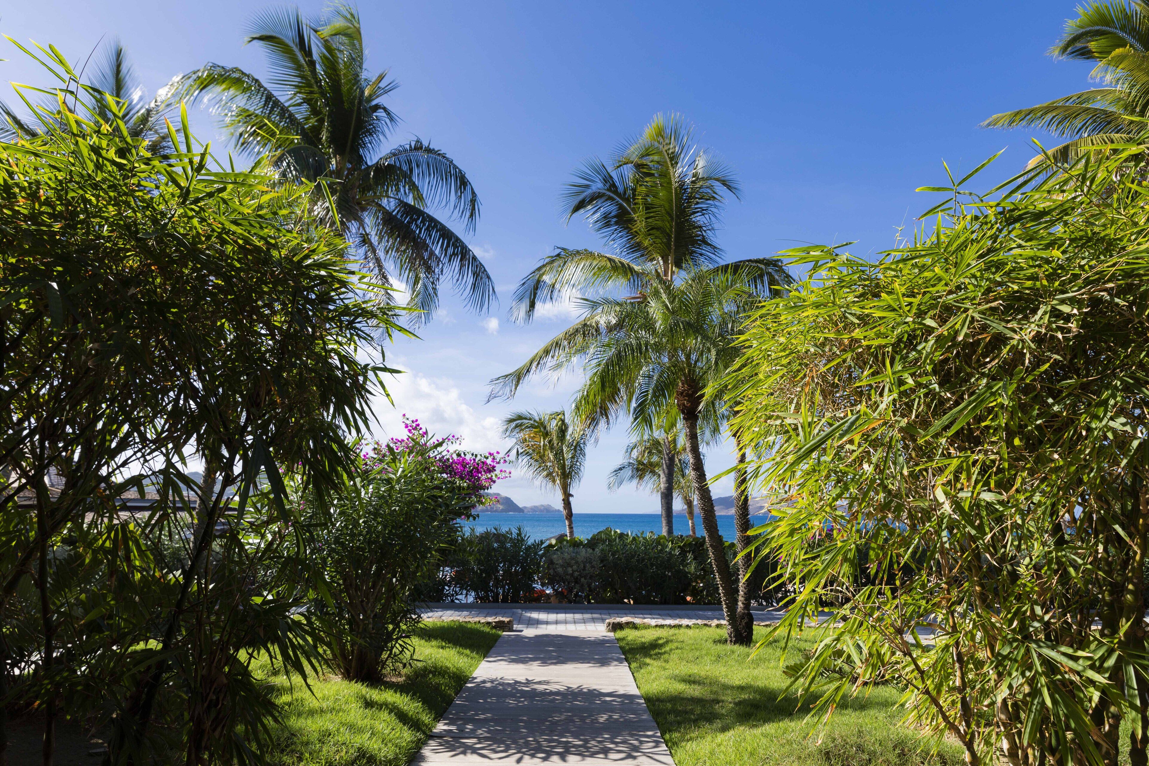 room, terrace (ocean) | view from room