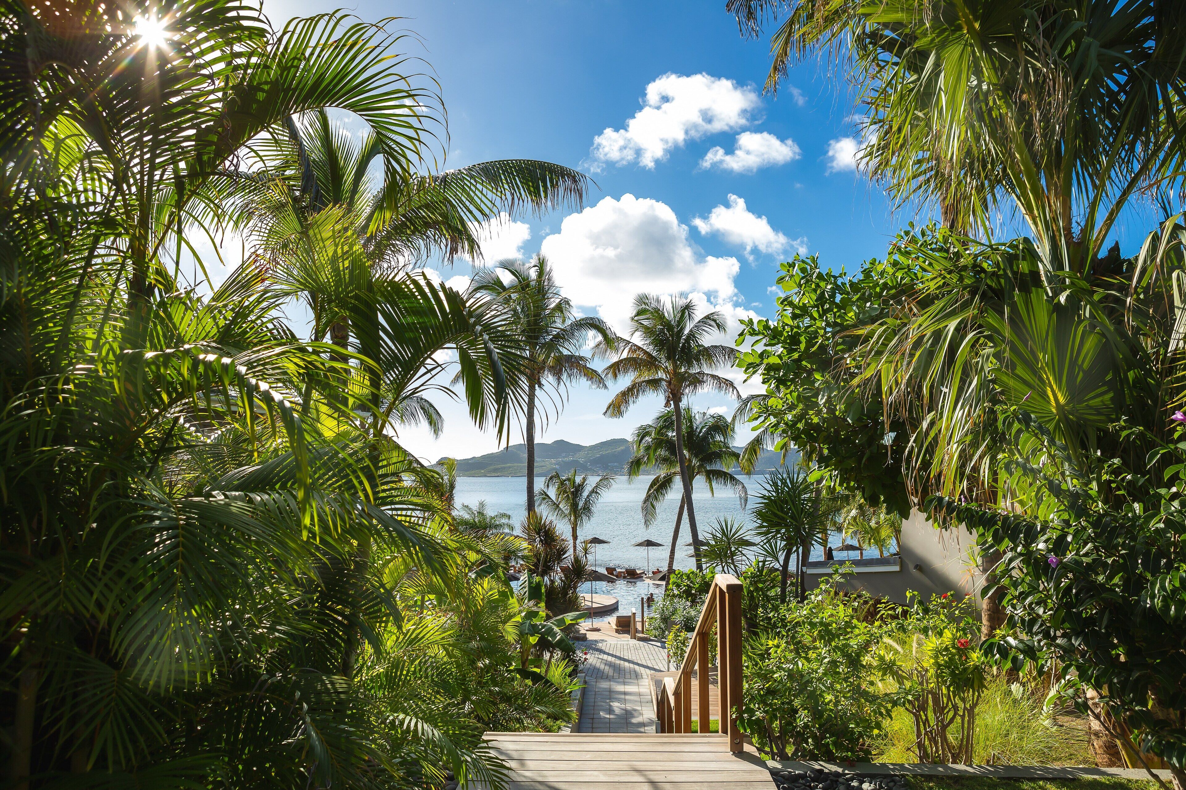 A pathway leading to a pool area surrounded by palm trees and a view of the sea.