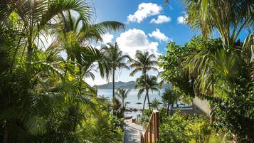 A pathway leading to a pool area surrounded by palm trees and a view of the sea.