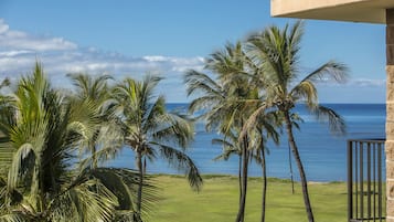 Beach/ocean view