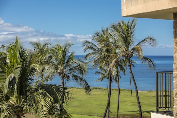 Beach/ocean view