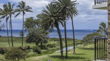 Beach/ocean view