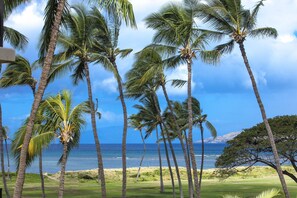 A view of tall palm trees and a beach with clear blue water. - Kauhale Makai - Maui Condo & Home (Kihei)