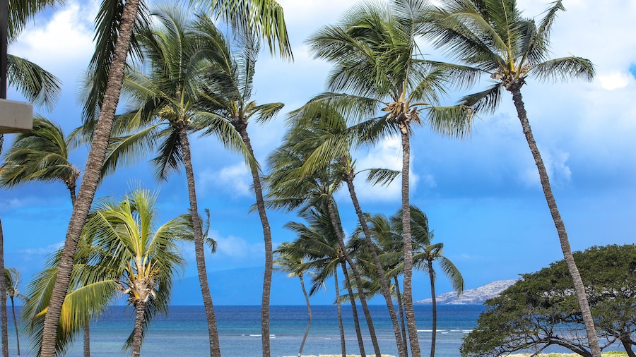 Kauhale Makai - Maui Condo & Home