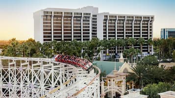 A roller coaster in motion, a large white building, and palm trees in the foreground.