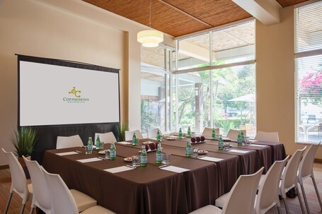 Copamarina Beach Resort Spa - Image 25