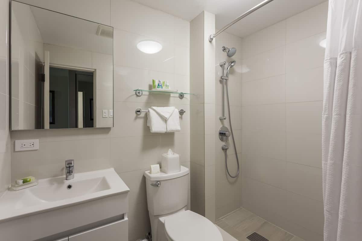 shower, free toiletries, hair dryer, towels