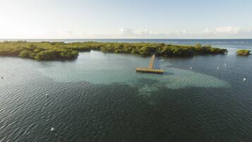 Une vue aérienne d’une jetée en bois s’étendant dans une étendue d’eau calme, entourée d’une végétation verdoyante et luxuriante.
