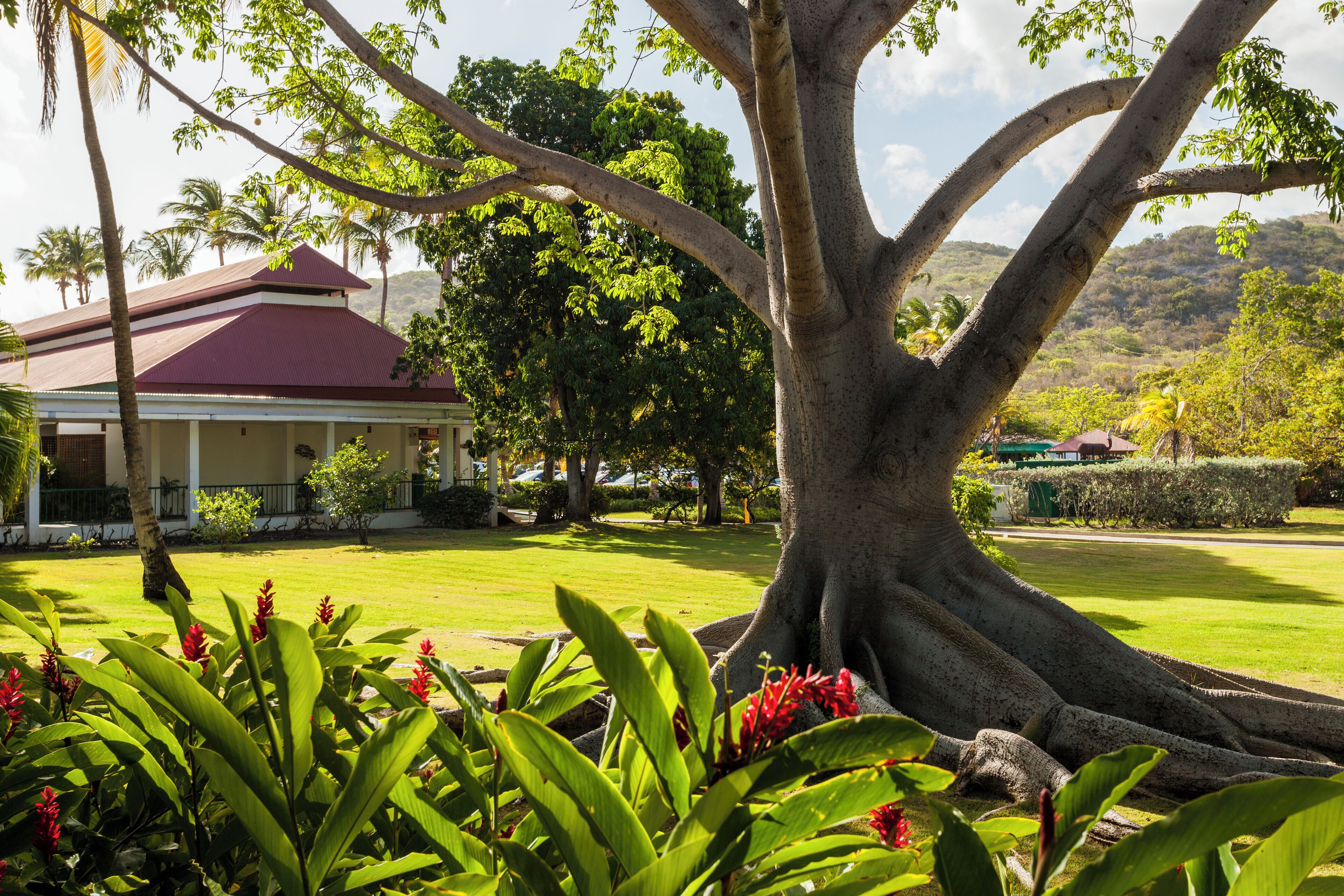 deluxe room, garden view | minibar, in-room safe, individually furnished, iron/ironing board