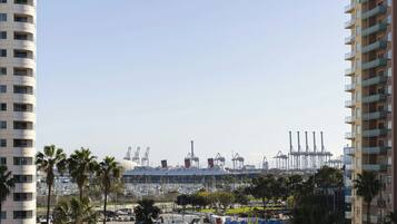 Vue sur la plage/l’océan