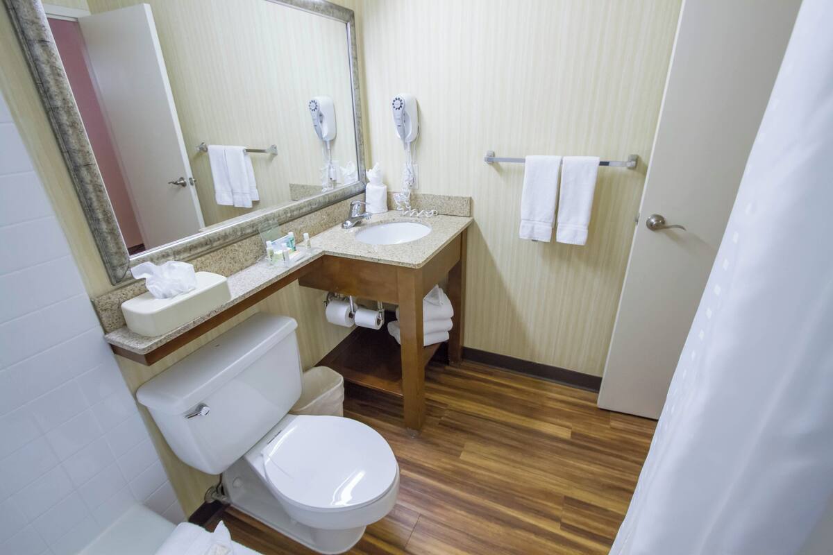 Une salle de bain avec des toilettes, un lavabo et un miroir.
