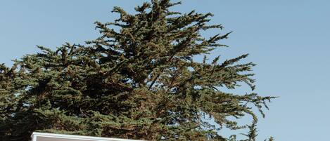 Een bord voor Fireside Inn aan Moonstone Beach.
