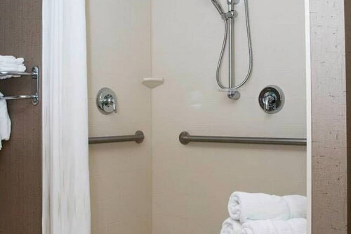 suite, accessible, non smoking | bathroom shower