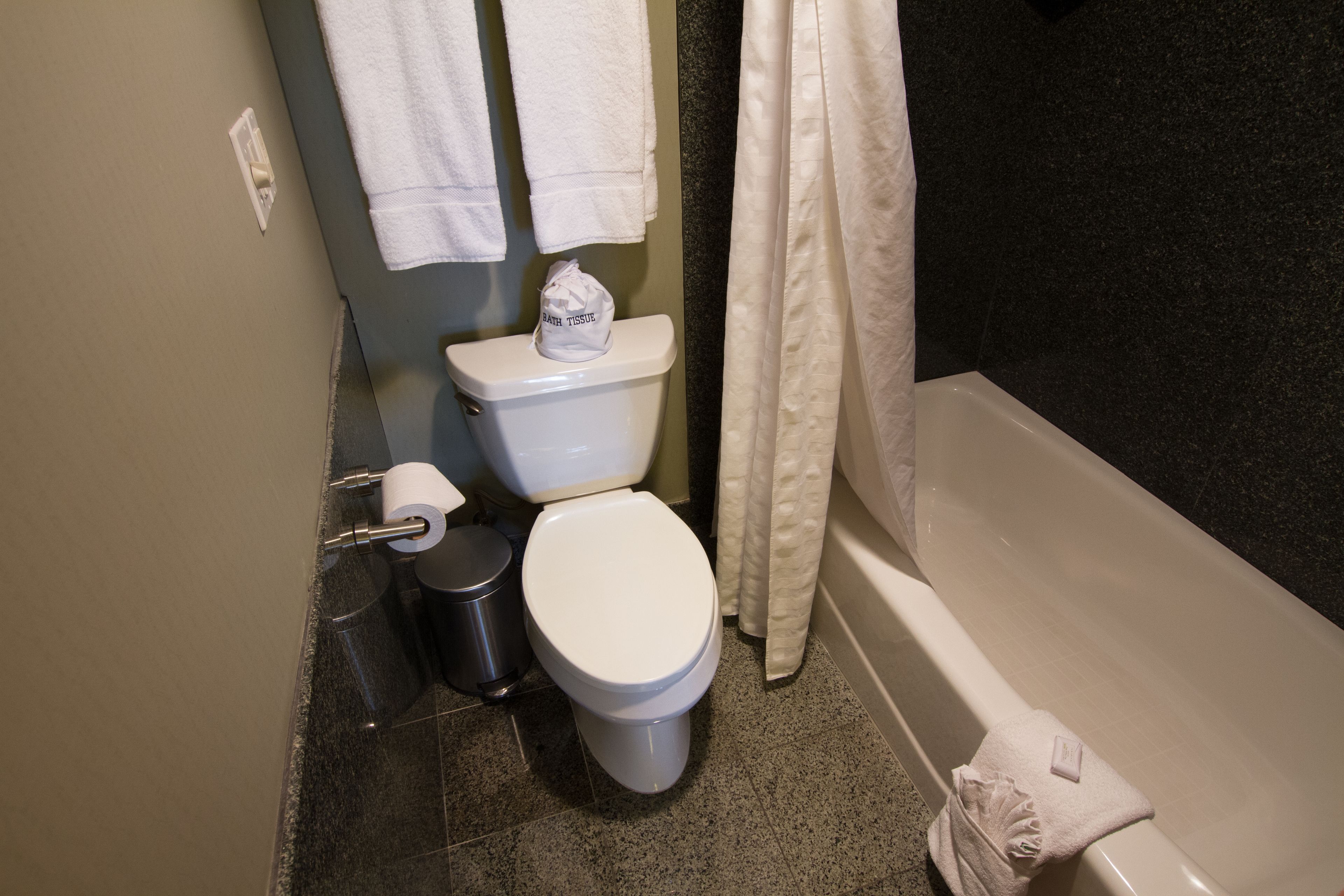A bathroom with a toilet, a trash can, a bathtub, and a shower curtain.