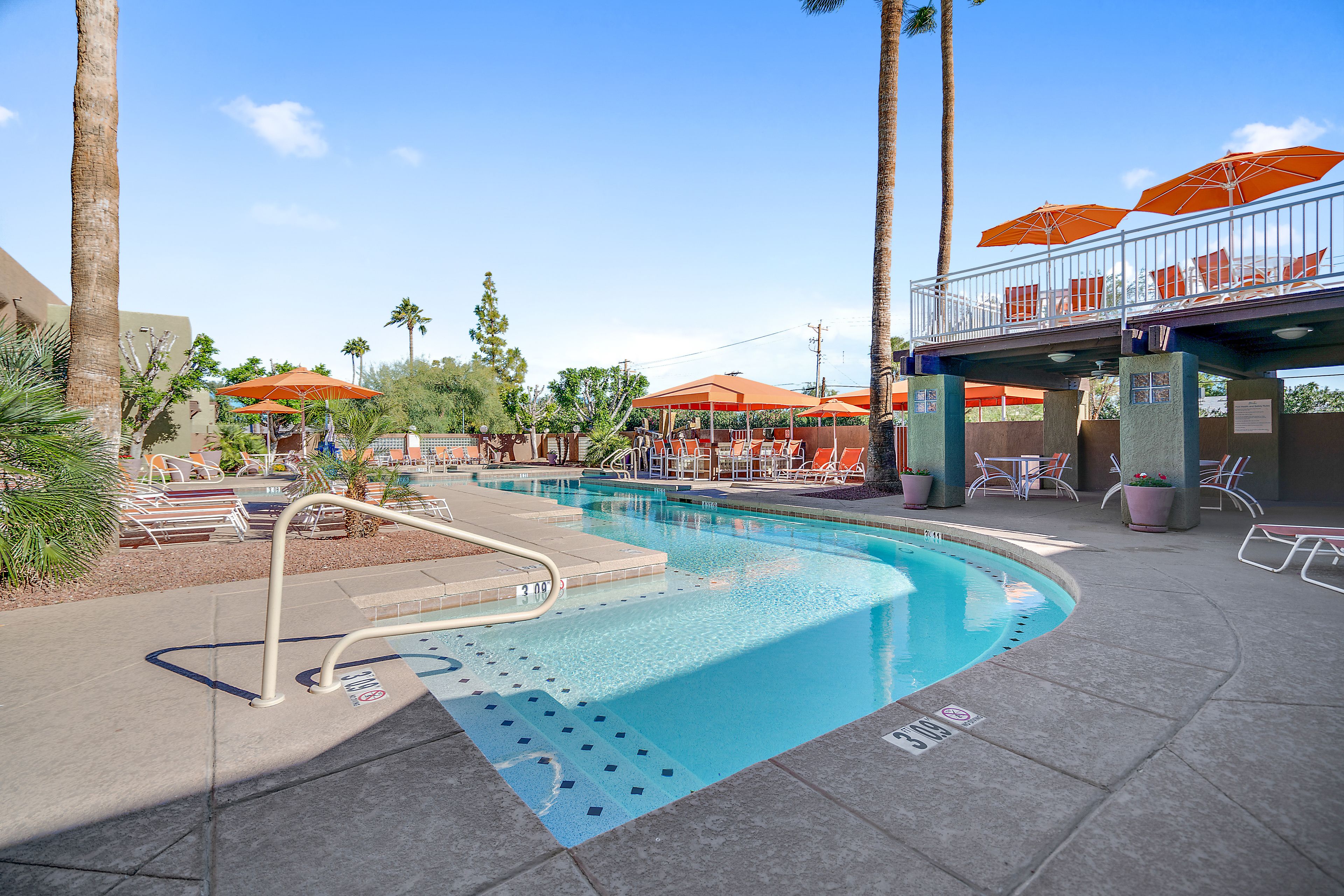A swimming pool with lounge chairs and umbrellas, surrounded by palm trees and a covered seating area.