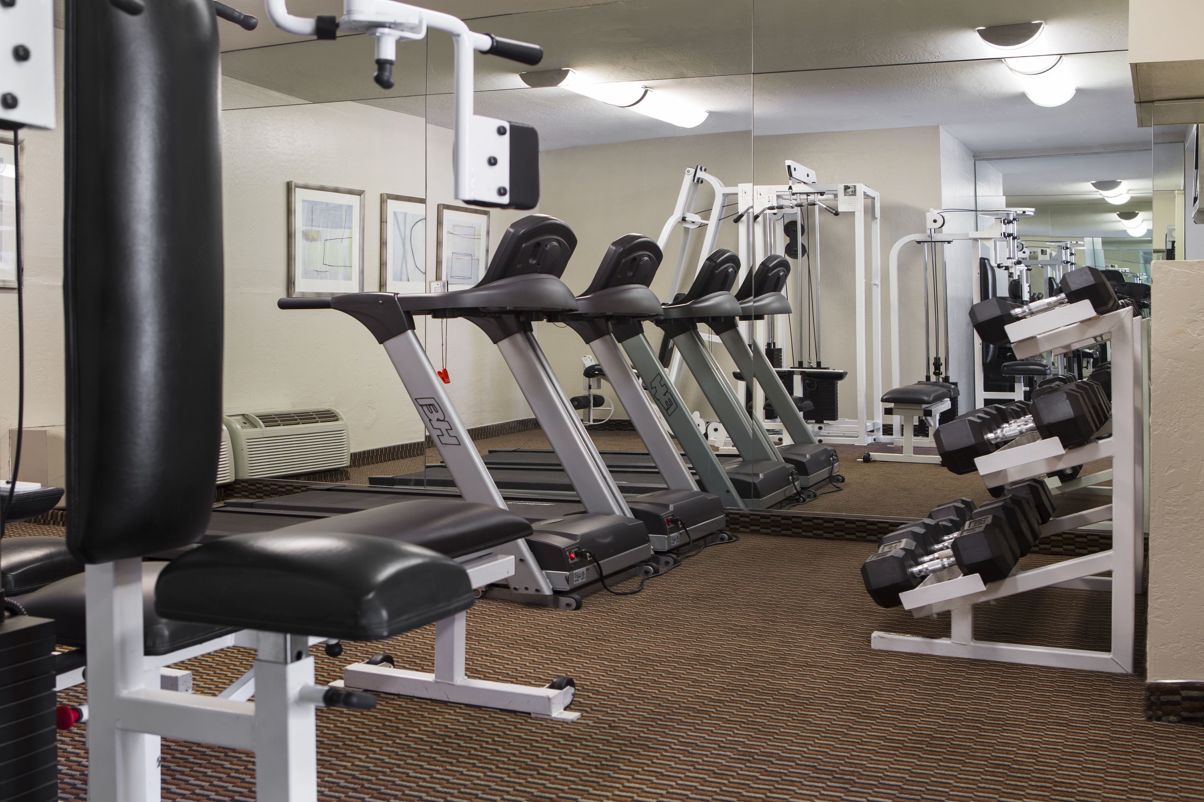 A gym with treadmills, weight machines, and dumbbells.