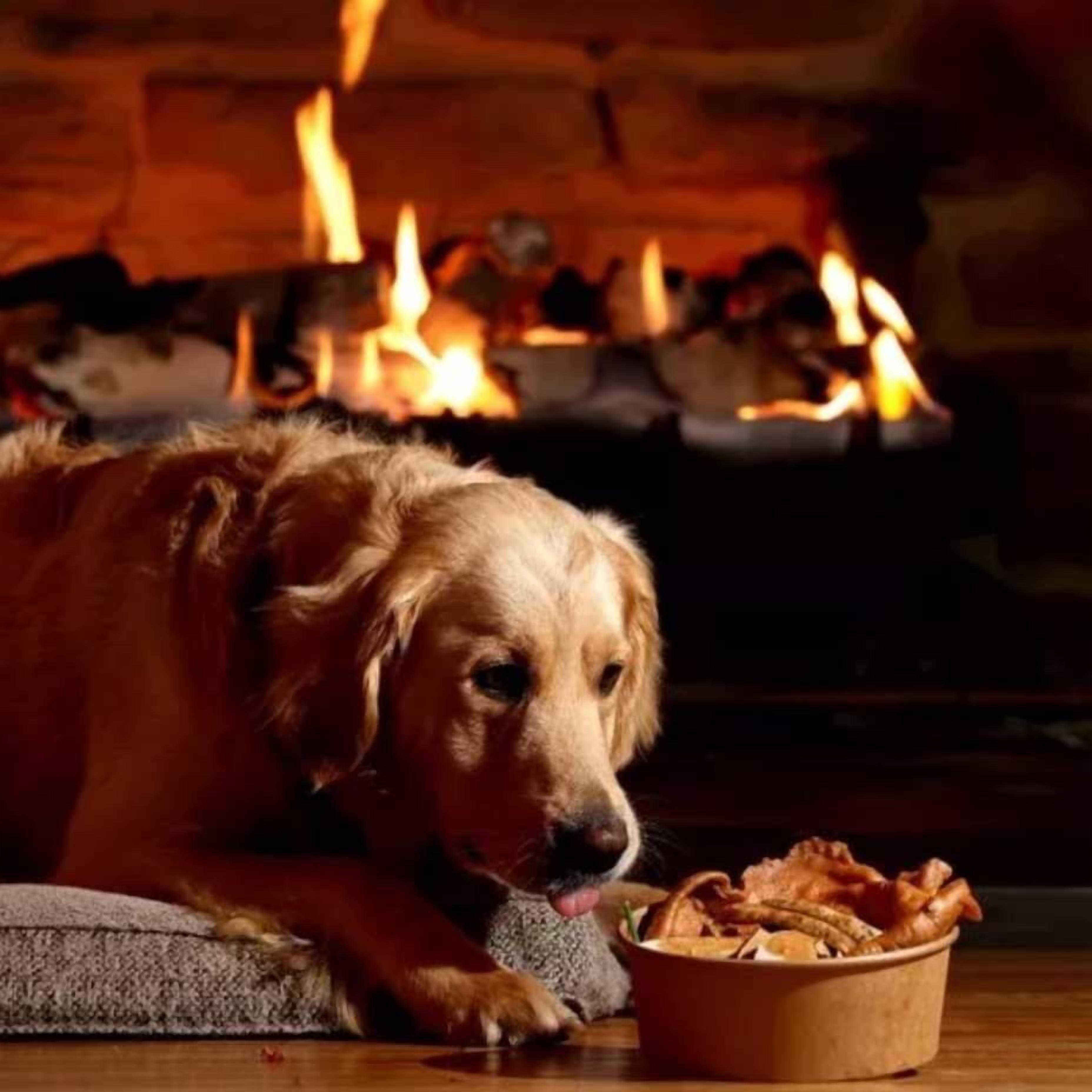 standard double or twin room | individually decorated, individually furnished, blackout curtains