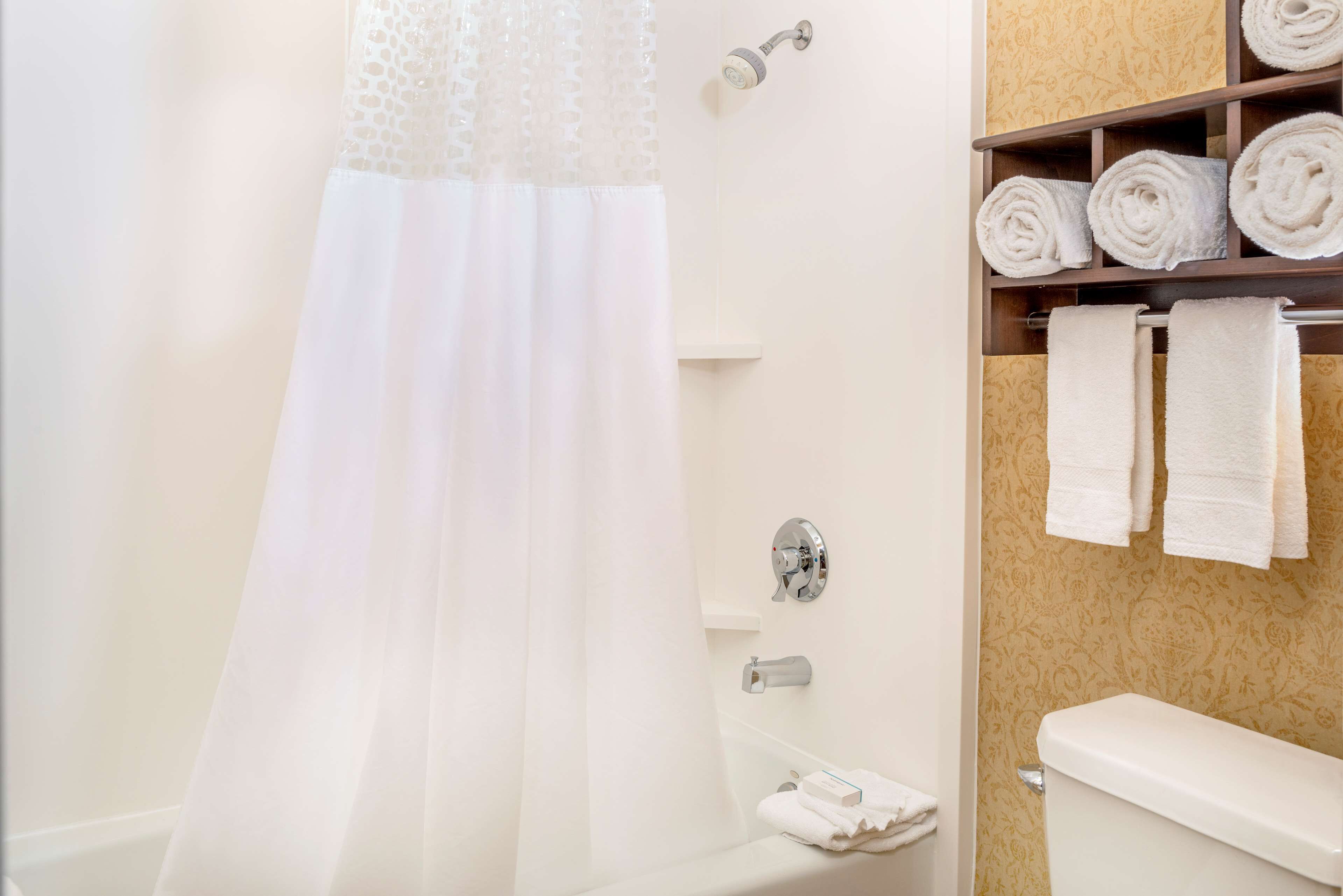 free toiletries, hair dryer, towels