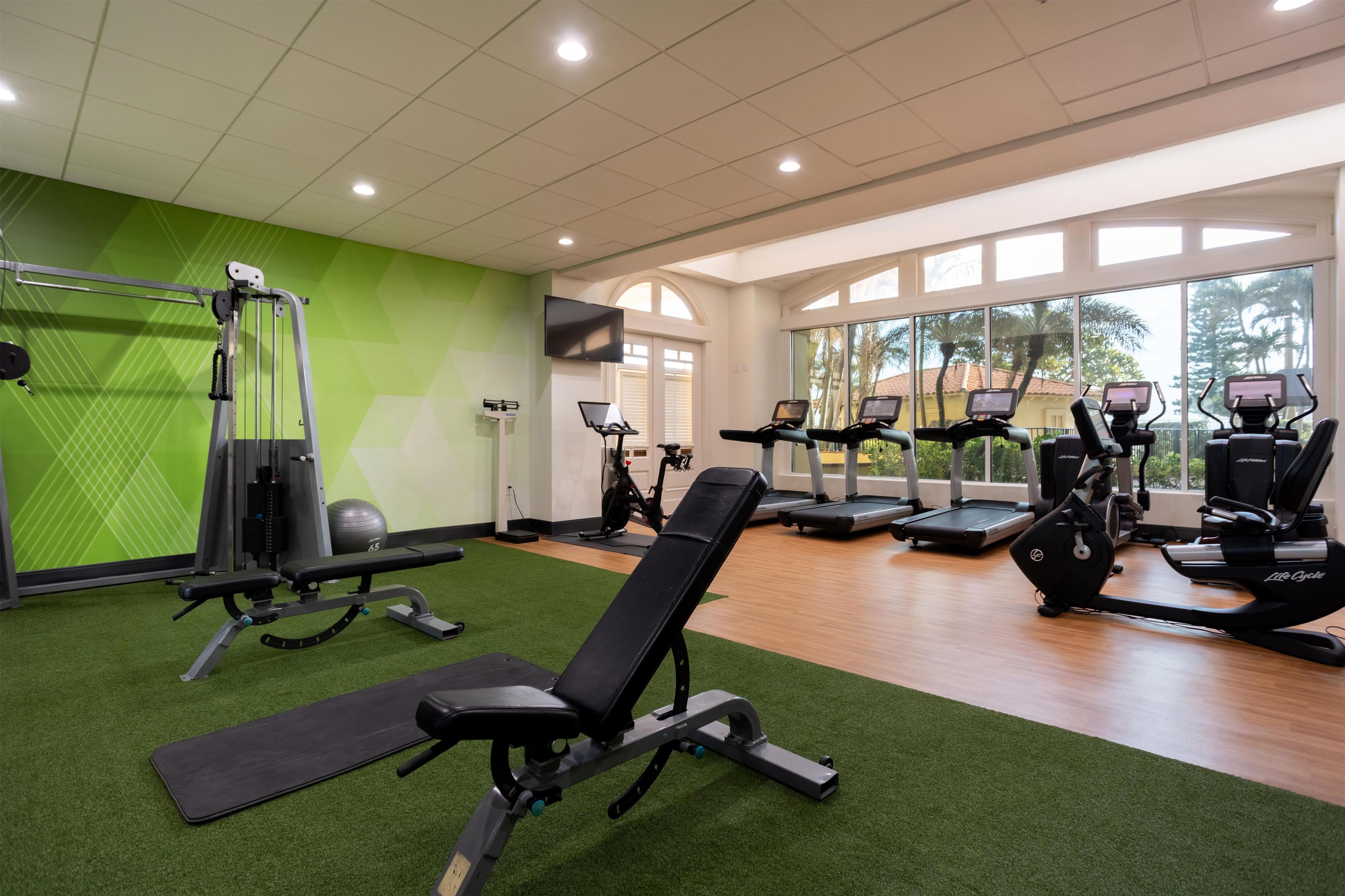A gym with exercise equipment, a green wall, and large windows.