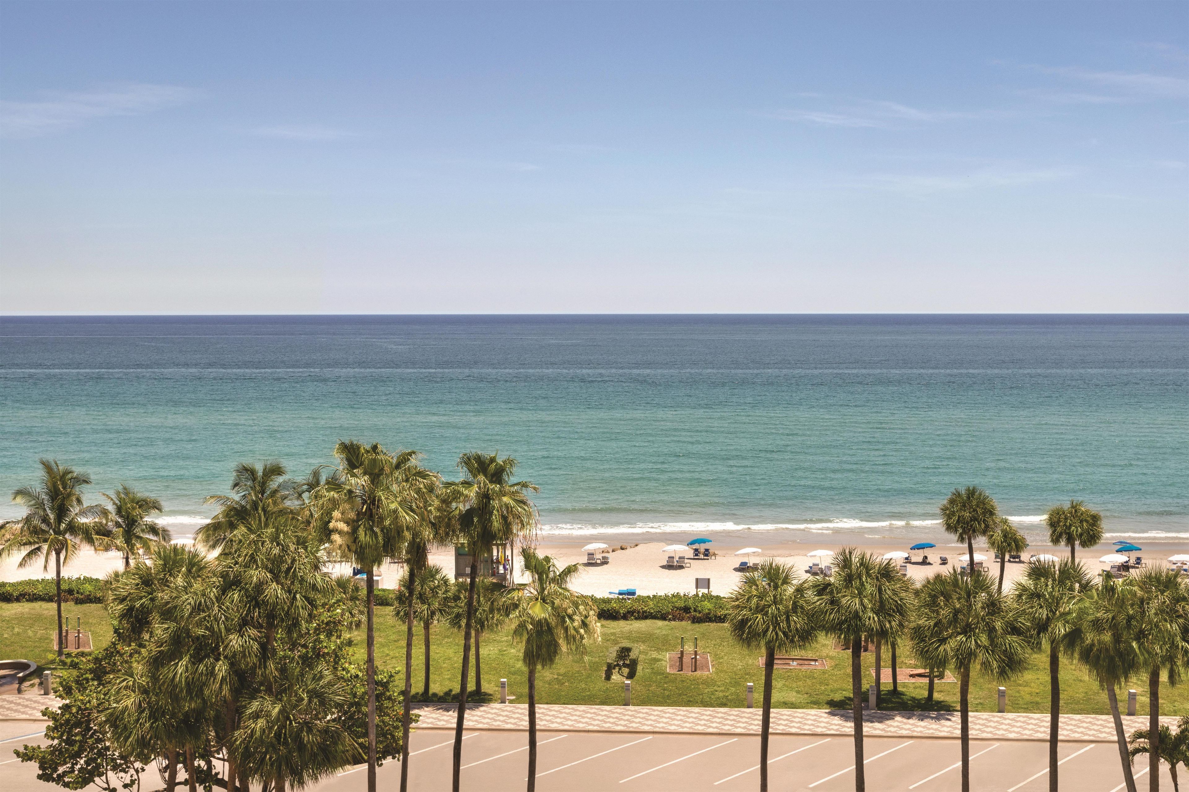 A beach view with palm trees, a parking lot, and a clear sky.