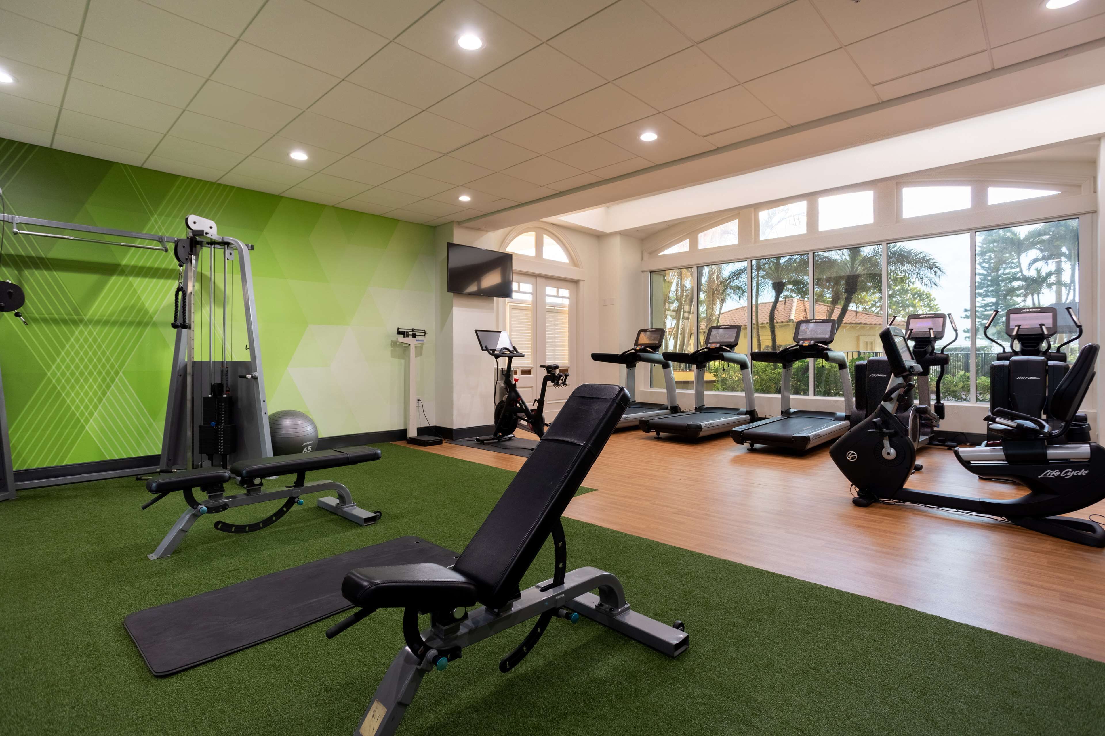 A gym with exercise equipment, green walls, and large windows.