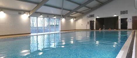 Indoor pool, pool loungers