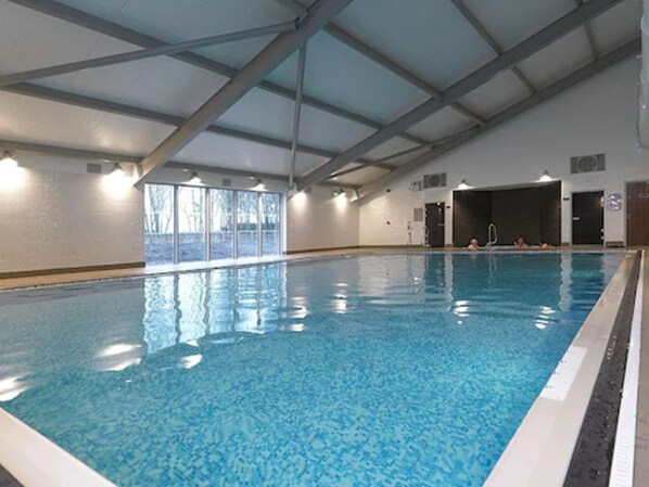 Indoor pool, sun loungers