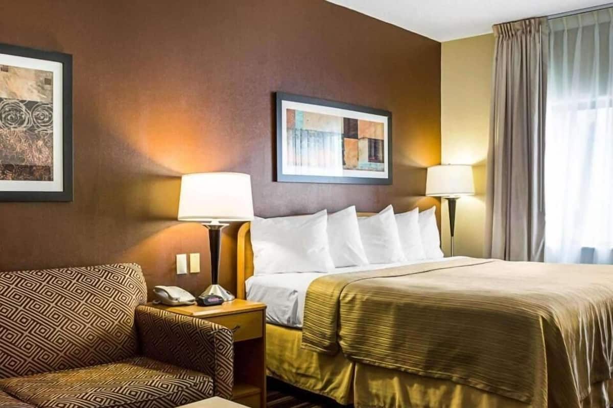 suite, 1 king bed with sofa bed, non smoking | desk, blackout curtains, iron/ironing board, free wifi