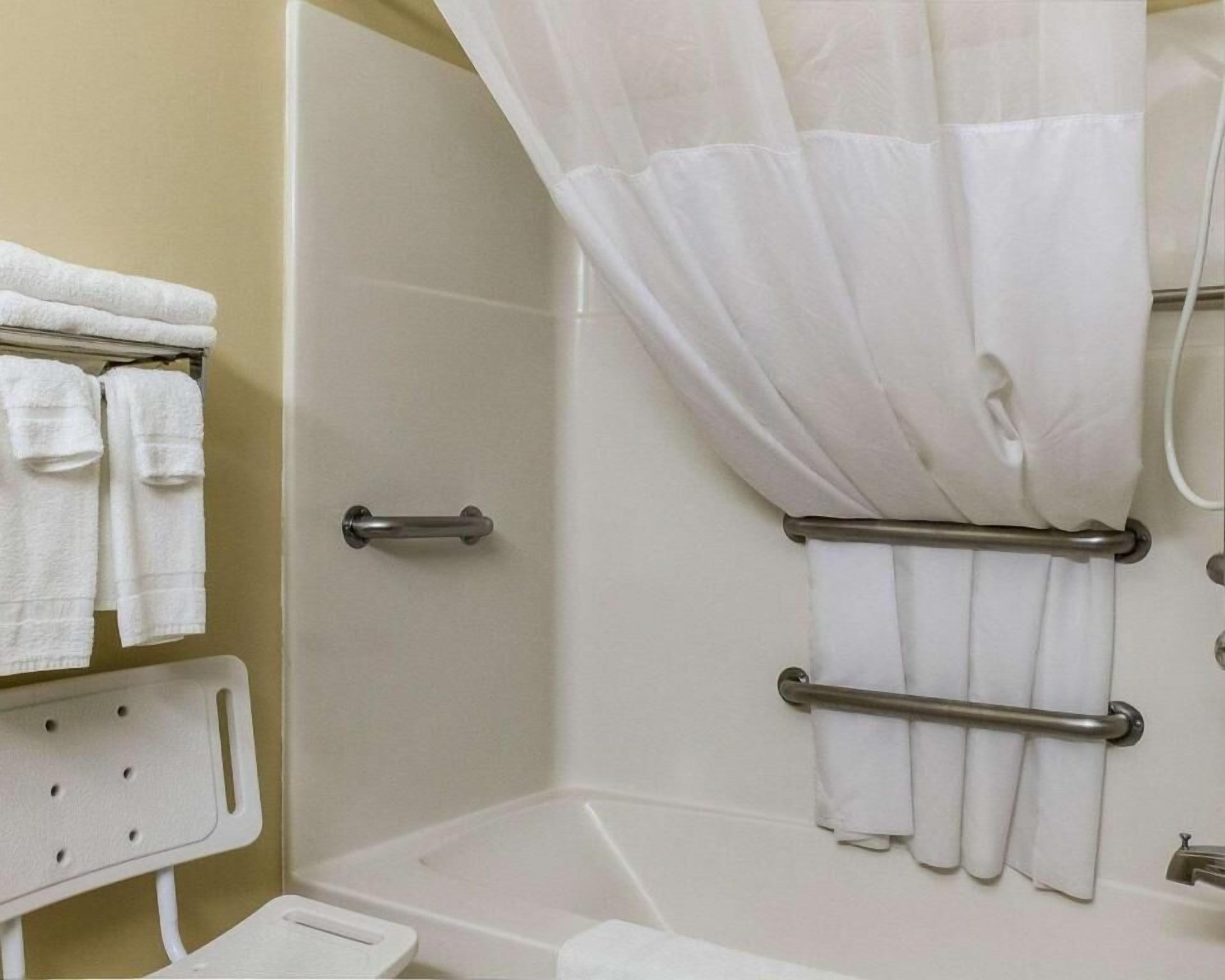 suite, 1 king bed with sofa bed, non smoking | bathroom | combined shower/bathtub, hydromassage showerhead, free toiletries