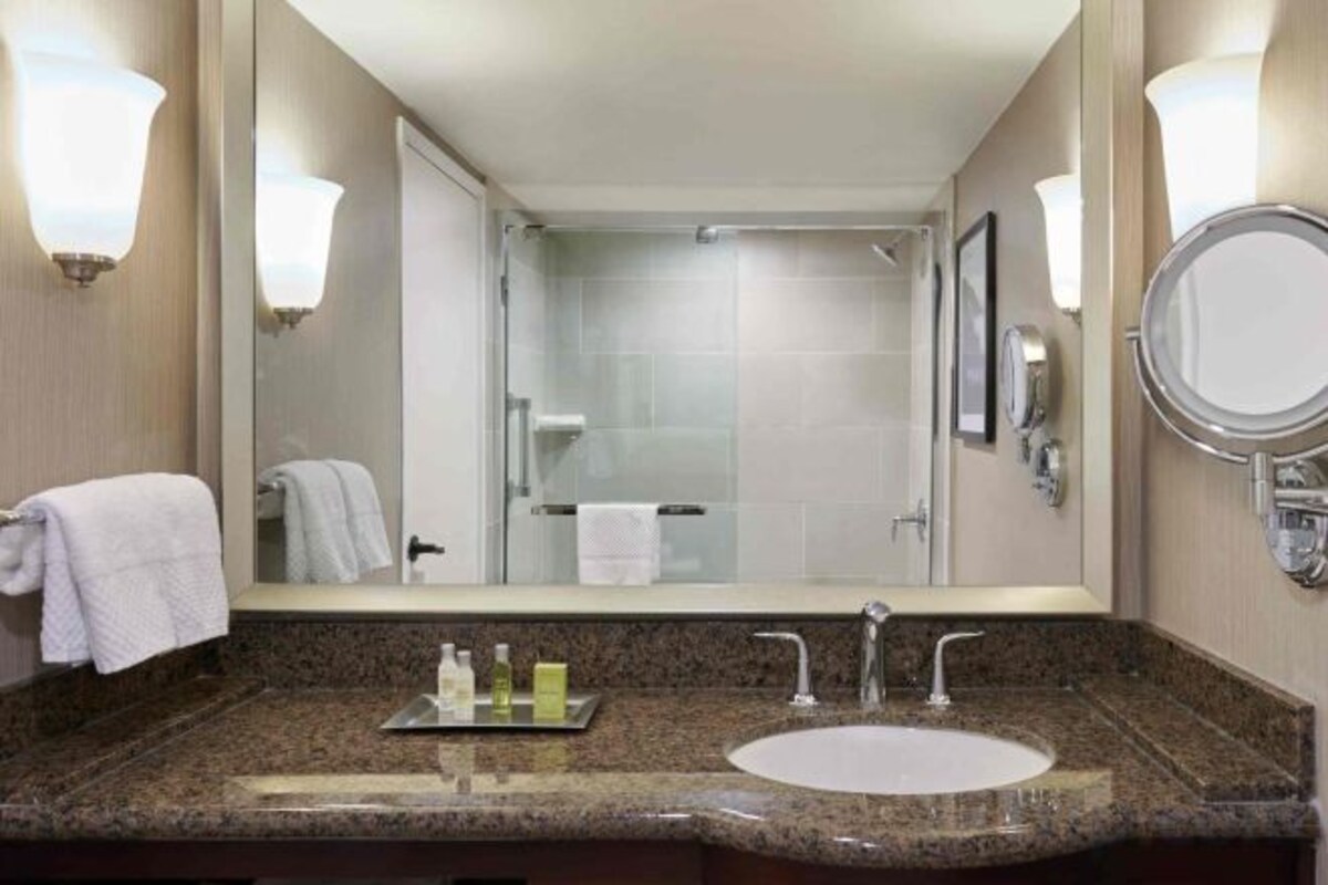 Mobility and Hearing Accessible King Room with Roll-in Shower