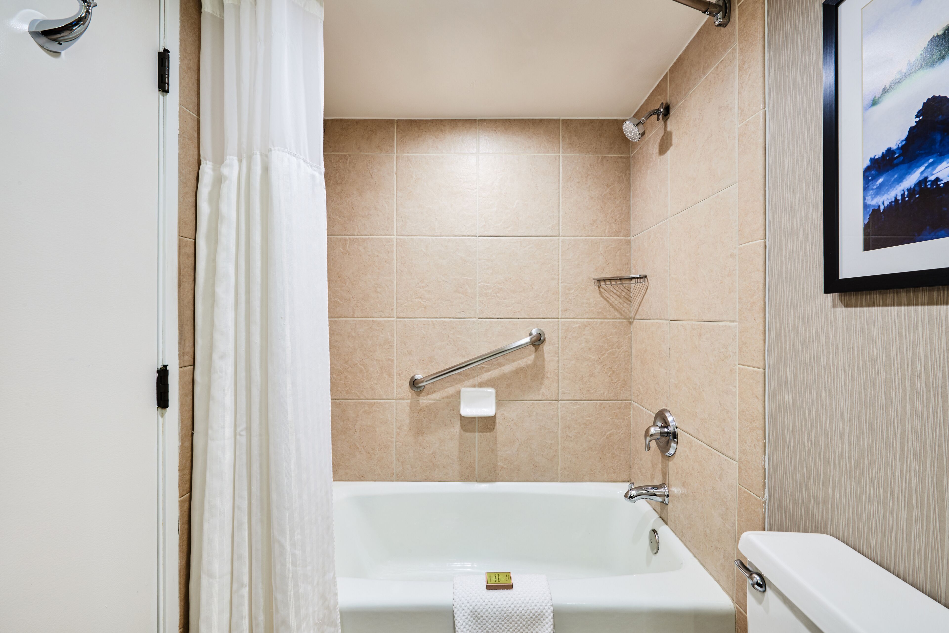 Un baño con bañera, baranda y un cuadro enmarcado en la pared.