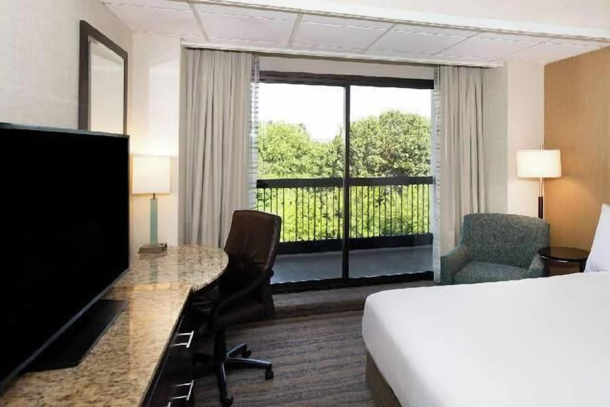 A hotel room with a bed, a desk with a flat-screen TV, a chair, a lamp, and a balcony with a view of greenery.